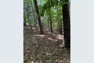 85 Adirondack Lane #85, Bostic, NC 28018 - Photo 20
