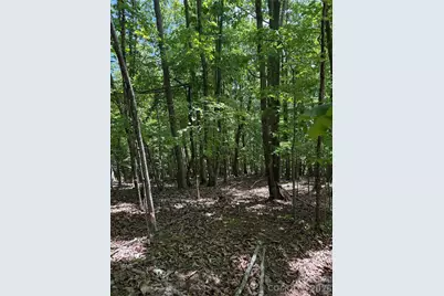 85 Adirondack Lane #85, Bostic, NC 28018 - Photo 18