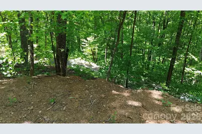 99999 Pink Fox Cove Road, Weaverville, NC 28787 - Photo 14