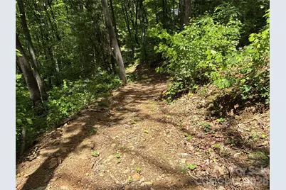 99999 Pink Fox Cove Road, Weaverville, NC 28787 - Photo 20