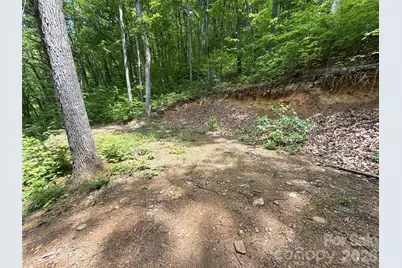 99999 Pink Fox Cove Road, Weaverville, NC 28787 - Photo 16