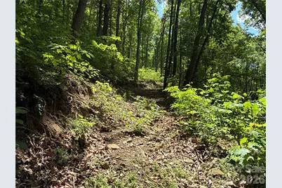 99999 Pink Fox Cove Road, Weaverville, NC 28787 - Photo 22