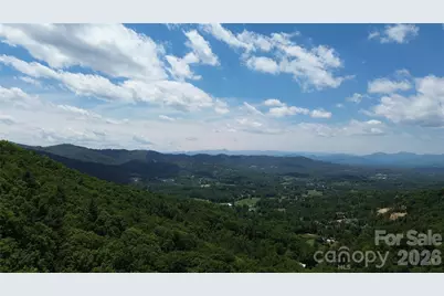 99999 Pink Fox Cove Road, Weaverville, NC 28787 - Photo 4