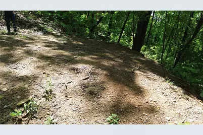 99999 Pink Fox Cove Road, Weaverville, NC 28787 - Photo 10