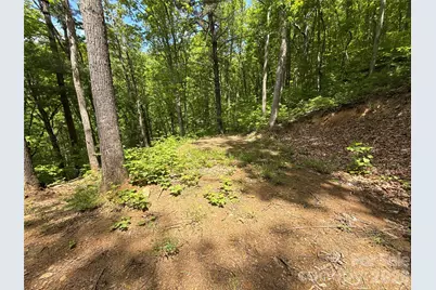 99999 Pink Fox Cove Road, Weaverville, NC 28787 - Photo 18
