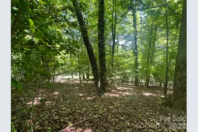 115 Bobby Jones Drive #45, Hendersonville, NC 28739 - Photo 10
