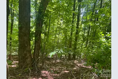 115 Bobby Jones Drive #45, Hendersonville, NC 28739 - Photo 8