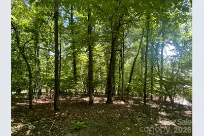 115 Bobby Jones Drive #45, Hendersonville, NC 28739 - Photo 12