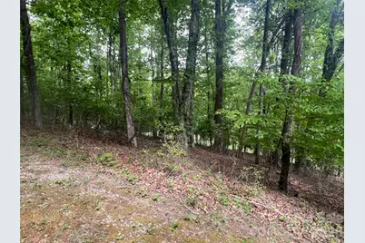 115 Bobby Jones Drive #45, Hendersonville, NC 28739 - Photo 4