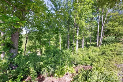 17 Tulip Poplar Trail #30, Asheville, NC 28804 - Photo 8