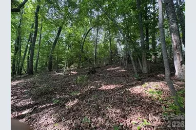 000 Gettys Road, Ellenboro, NC 28040 - Photo 8
