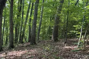 000 Gettys Rd, Ellenboro, NC 28040 - Photo 1