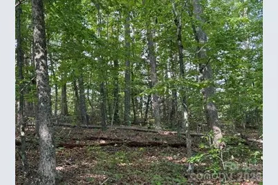 000 Gettys Road, Ellenboro, NC 28040 - Photo 6