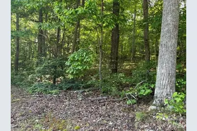 000 Gettys Road, Ellenboro, NC 28040 - Photo 4