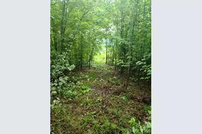 0 Osprey Lane, Nebo, NC 28761 - Photo 18