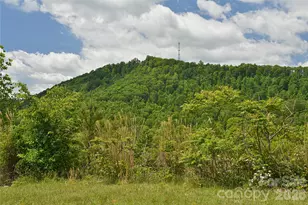 116 Kay Rd, Flat Rock, NC 28731 - Photo 32