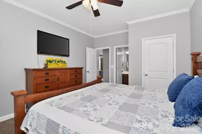 719 Fresia Drive, Tega Cay, SC 29708 - Photo 20