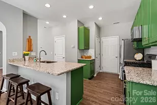 244 Sand Paver Way, Fort Mill, SC 29708 - Photo 10