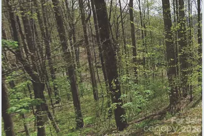 000 Heather Way, Waynesville, NC 28786 - Photo 2