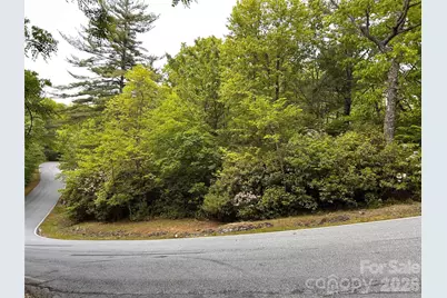 1054 Hawk Mountain Road, Lake Toxaway, NC 28747 - Photo 4