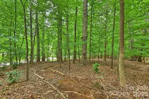 5530 Spearmint Dr, Mint Hill, NC 28227 - Photo 36