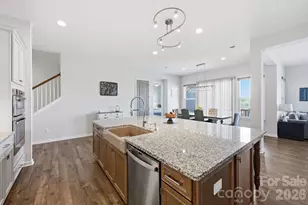 134 Winterberry St, Mooresville, NC 28117 - Photo 12
