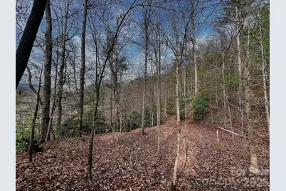 Lot 127 Bear River Lodge Trail, Marshall, NC 28753 - Photo 2