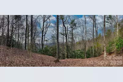 Lot 127 Bear River Lodge Trail, Marshall, NC 28753 - Photo 1