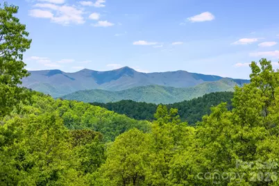 1659 High Rock Acres Drive, Black Mountain, NC 28711 - Photo 1