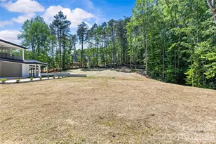 11220 Aubrey Elena Ct, Davidson, NC 28036 - Photo 14