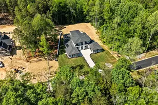 11220 Aubrey Elena Ct, Davidson, NC 28036 - Photo 6