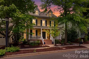 739 Julia St, Fort Mill, SC 29708 - Photo 42