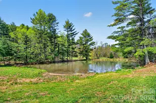 1959 Jacksontown Rd, Spruce Pine, NC 28777 - Photo 28