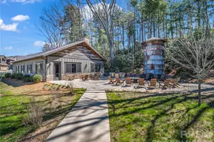 564 Sweet Birch Park Ln, Black Mountain, NC 28711 - Photo 44