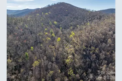 48 Benfield Road, Weaverville, NC 28787 - Photo 8