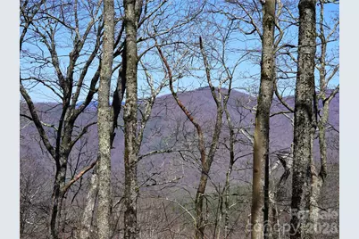 48 Benfield Road, Weaverville, NC 28787 - Photo 26