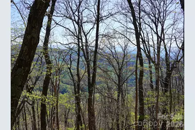 48 Benfield Road, Weaverville, NC 28787 - Photo 32