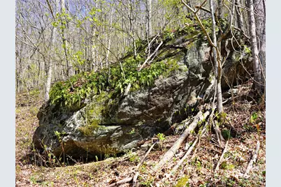 48 Benfield Road, Weaverville, NC 28787 - Photo 24