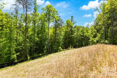 151 Riverbend Forest Drive, Asheville, NC 28805 - Photo 18
