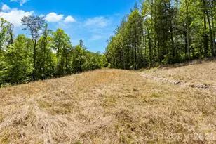 151 Riverbend Frst Dr, Asheville, NC 28805 - Photo 1