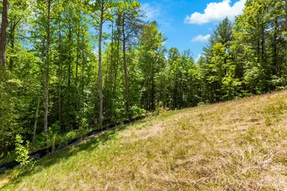 151 Riverbend Forest Drive, Asheville, NC 28805 - Photo 20