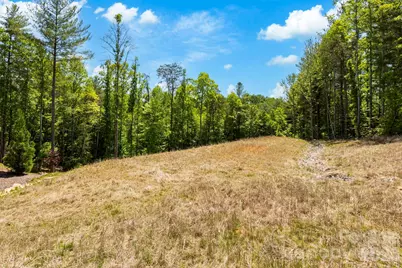 151 Riverbend Forest Drive, Asheville, NC 28805 - Photo 22