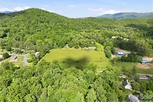 767 New Haw Creek Rd, Asheville, NC 28805 - Photo 2