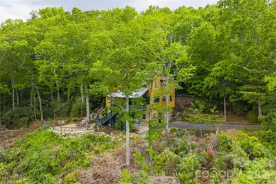 162 Merrills Chase Road, Asheville, NC 28803 - Photo 46