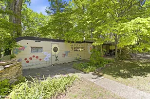 20 Reed Rd, Asheville, NC 28805 - Photo 32