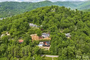 127 N Griffing Blvd, Asheville, NC 28804 - Photo 46