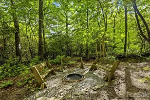 29 Panther Ridge Rd, Brevard, NC 28712 - Photo 42