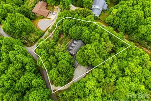 29 Panther Ridge Rd, Brevard, NC 28712 - Photo 6