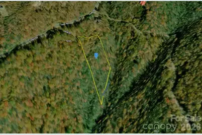 1650 Tower Road, Sapphire, NC 28774 - Photo 2