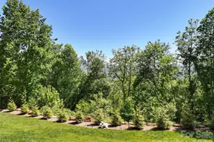 114 Nesting Ridge, Waynesville, NC 28785 - Photo 40